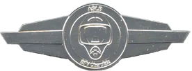 Abzeichen-atemschutz-silber.gif